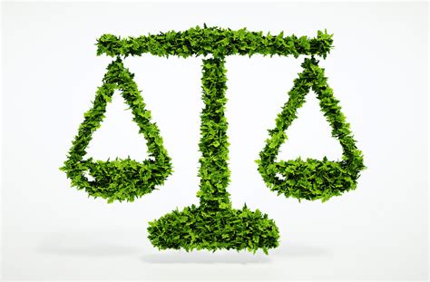 What Kinds of Remedies Are Available In an Environmental Law Lawsuit?