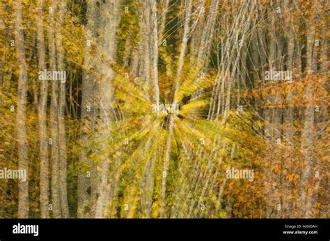 Autumn Impressions Birks of Aberfeldy Scotland November Stock Photo - Alamy