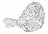 Premium Vector  Drawing zentangle bird For coloring Page sketch template