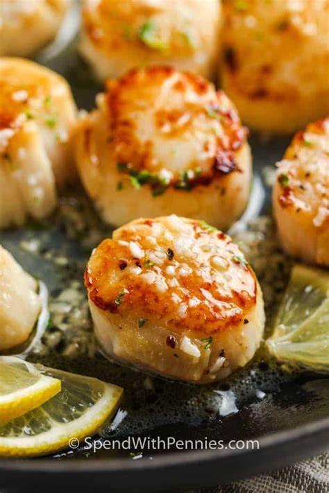 Seared Scallops with Garlic Butter (Use Fresh or Frozen Scallops) - Spend With Pennies