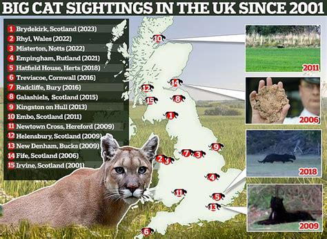 What IS the truth behind big cat sightings in the UK?: Map reveals ...