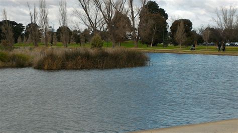 Albert Park Lake and How to Achieve Peace - Urbanyogi