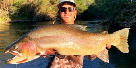 Idaho Yellowstone Cutthroat Trout Record Broken for Second Time in 2020 ...