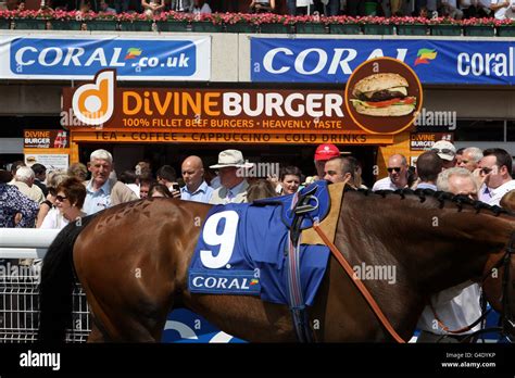 Horse Racing - Coral-Eclipse Day - Sandown Park. Horses are paraded in front of the spectators ...