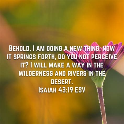 Behold, I Am Doing a New Thing - Isaiah 43:19