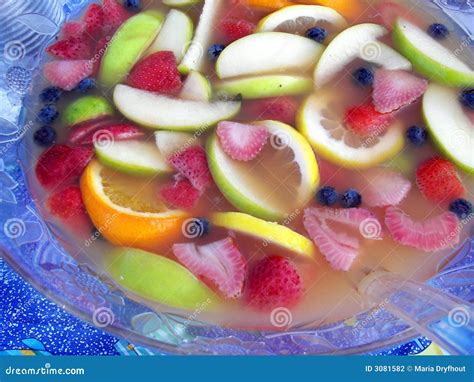 Fruit Punch Bowl stock photo. Image of nature, color, drink - 3081582