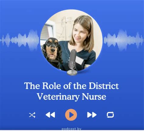 dvnhub | The Role of a District Nurse Podcast