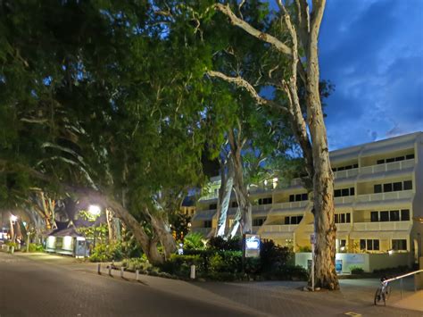 Palm Cove beach images