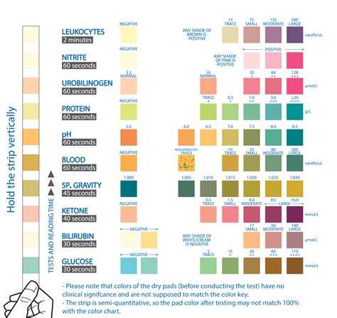 10 Parameter Urinalysis Test at Home