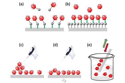 Magnetic molecules on surfaces: Advances and challenges in molecular ...