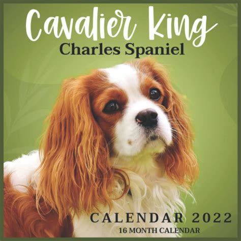 Cavalier King Charles Spaniel Calendar 2022: Monthly Square Calendar ...