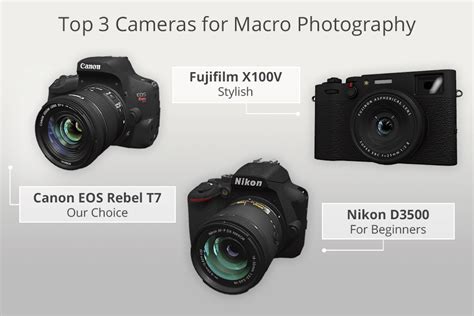 12 Best Cameras for Macro Photography to Invest in 2022