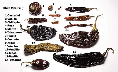 Full Chile Collection 14 Different Dried Chiles from Mexico - Chile ...