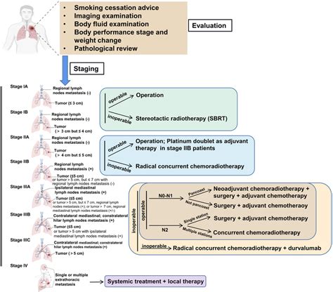 Treatment algorithm for NSCLC patients at early stage. Surgery is... | Download Scientific Diagram