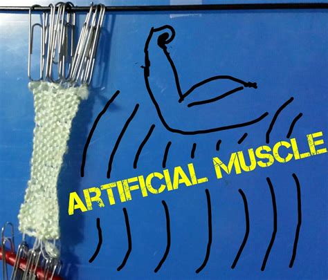 DIY Artificial Muscle : 16 Steps - Instructables