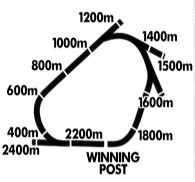 Ascot Racecourse - Giddy Up Sports and Racing - Australian greyhound ...