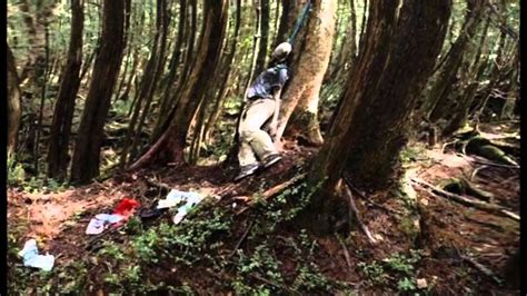 Pin on AOKIGAHARA SUICIDE FOREST IN JAPAN