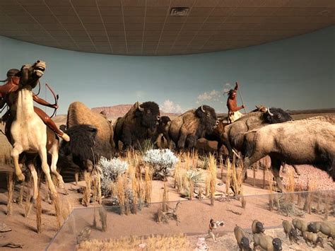 Milwaukee Public Museum - 2019 All You Need to Know BEFORE You Go (with Photos) - TripAdvisor