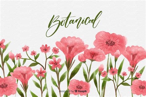 Free Vector | Watercolor botanical background