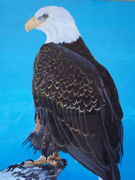 Bald Eagle Acrylic Painting By Teresa Peterson | absolutearts.com