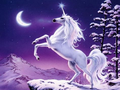 Unicorn's - Fantasy Photo (227930) - Fanpop