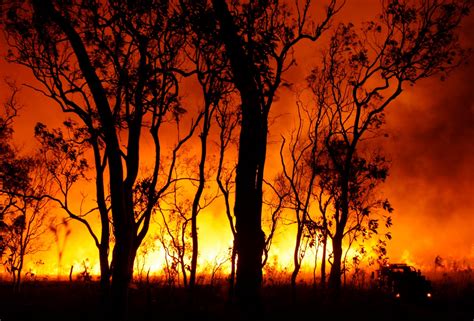 Mya Clicks: 8:30 PM Bush Fire and Backburning Meet in Far North ...