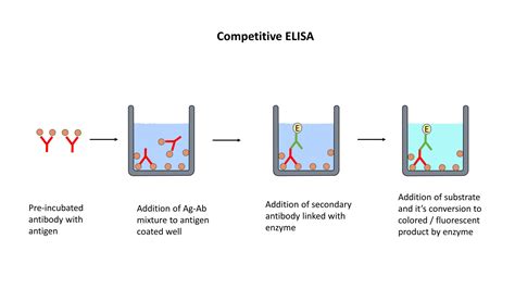 ELISA (Enzyme-Linked Immunosorbent Assay) - The Science Bistro