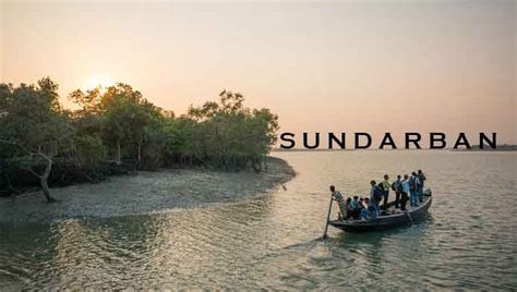 What are the Charges and Timing of Visiting Sundarban National Park?