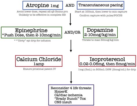 Treatment of Bradycardia and Bradydysrhythmias | Emergency Medicine Cases