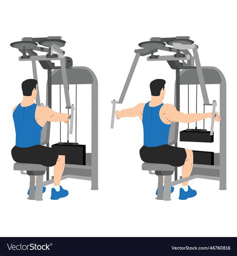 Man doing rear delt machine flyes exercise Vector Image