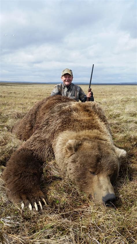 Alaska Brown Bear Hunting