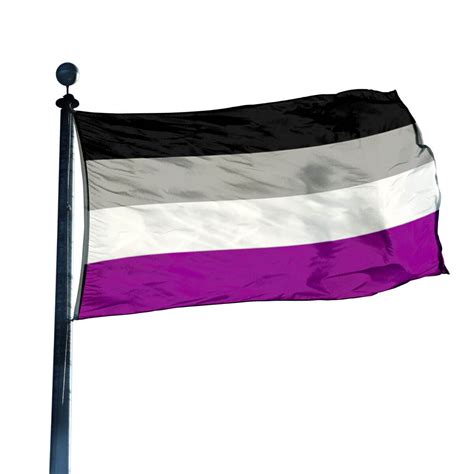 Asexuality Pride Flag | FlagandBanner.com