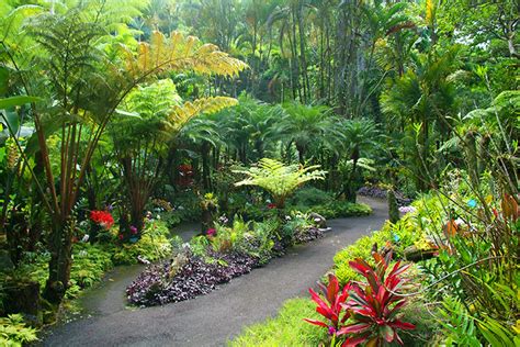 Hawaii Tropical Botanical Garden - Hawaii on a Map