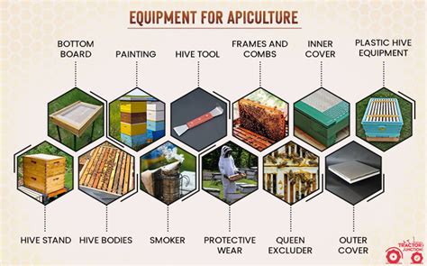 What is Apiculture? Know the Methods, Cost & Profits of Apiculture