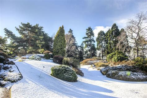 Royal Botanical Gardens Edinburgh Snow