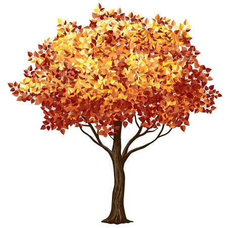clip art fall trees - Clip Art Library