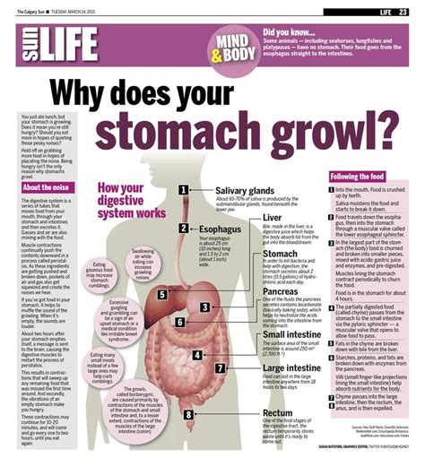 Pin on Infographics