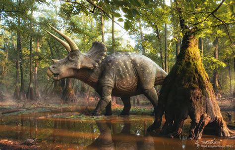 Triceratops in the forest on Behance