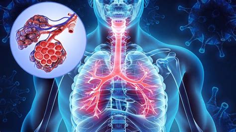 Effects of smoke and chronic obstructive pulmonary disease (COPD) in COVID-19 patients - https ...