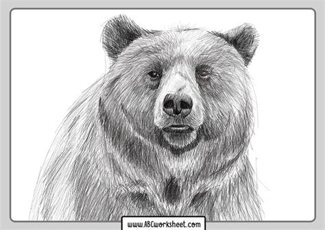 grizzly coloring page Grizzly bear coloring pages - Mejikuhibiniu Coloring Page