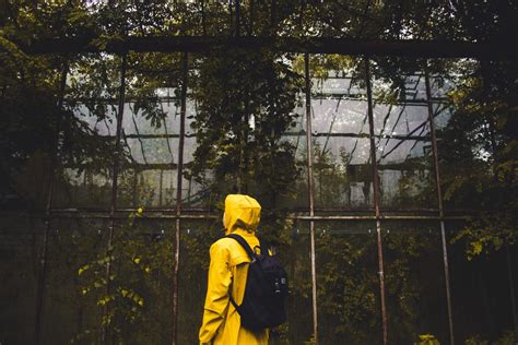 Free Images : man, tree, light, wood, sunlight, backpack, walk, environment, portrait, color ...