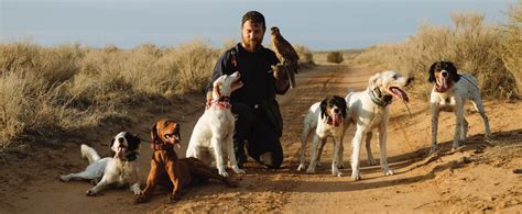 Hunting Scaled Quail with a Goshawk and Bird Dogs - Falconry Video