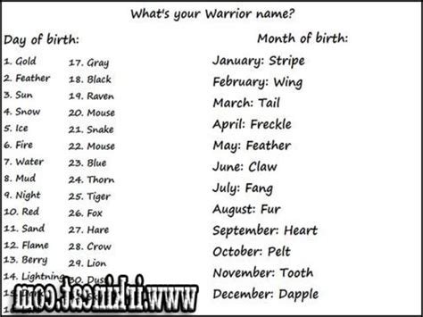 Warrior Cats Series, Warrior Cats Books, Boy Cat Names Black, Warrior Cats Name Generator ...