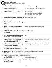 Understanding Acoel Flatworms: Anatomy, Nervous System, | Course Hero