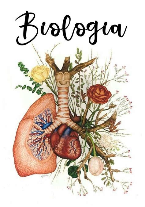 valeria bastos's | Lungs art, Anatomy art, Medical art