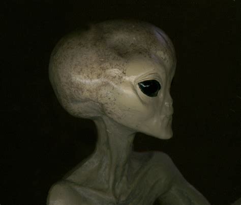 Alien intelligence: Could we ever communicate with extraterrestrials in their language?