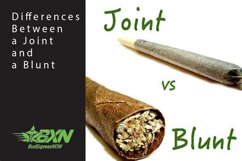 Differences Between a Joint and a Blunt - BudExpressNOW