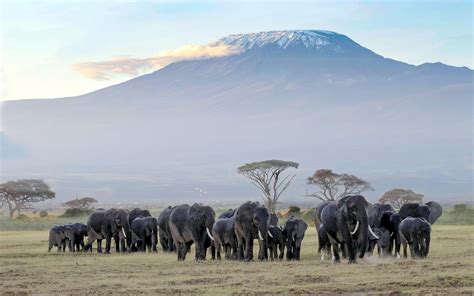 5 Things to Do at Amboseli National Park - Kenya Geographic