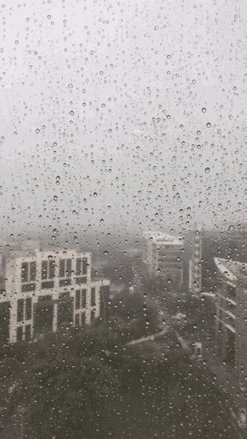 Rainy Day Window GIF - RainyDay Window TopView - Discover & Share GIFs