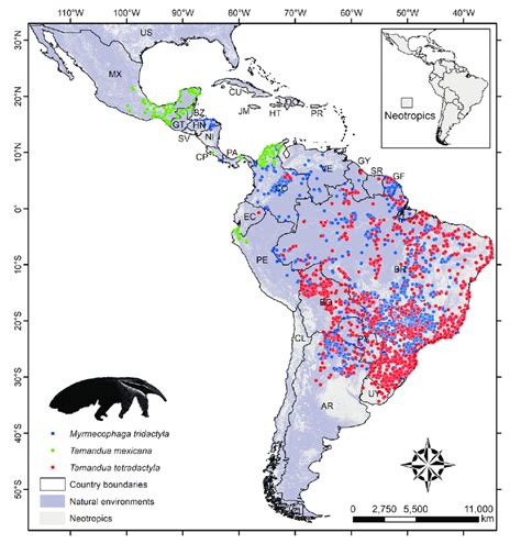 Distribution of the records of the family Myrmecophagidae of the ...